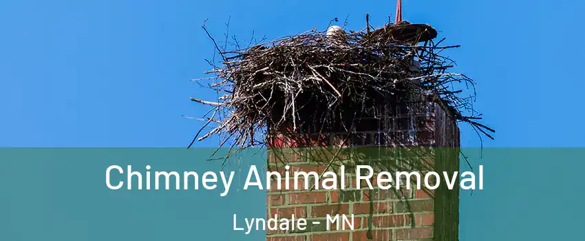 Chimney Animal Removal Lyndale - MN