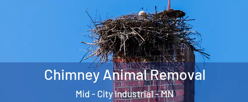 Chimney Animal Removal Mid - City Industrial - MN
