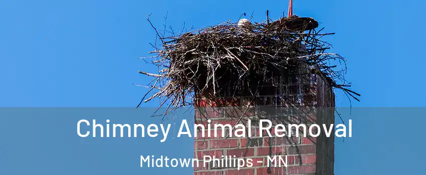 Chimney Animal Removal Midtown Phillips - MN