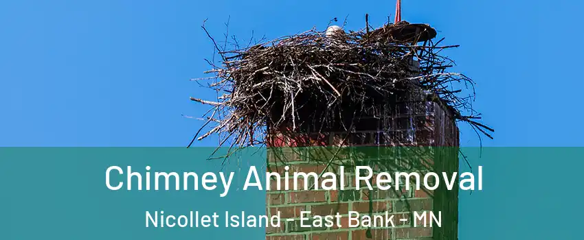 Chimney Animal Removal Nicollet Island - East Bank - MN