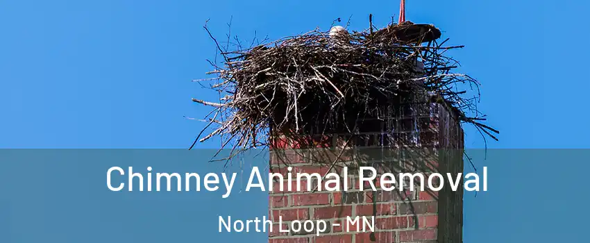 Chimney Animal Removal North Loop - MN