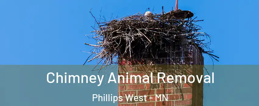 Chimney Animal Removal Phillips West - MN