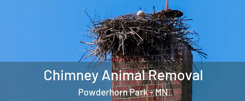 Chimney Animal Removal Powderhorn Park - MN
