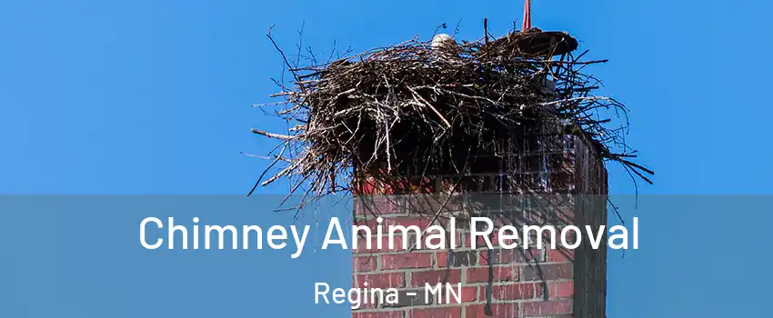 Chimney Animal Removal Regina - MN