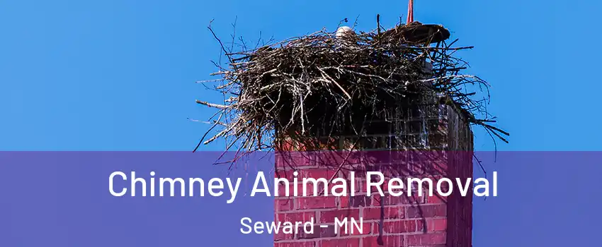 Chimney Animal Removal Seward - MN