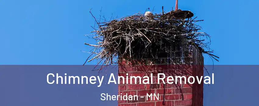 Chimney Animal Removal Sheridan - MN