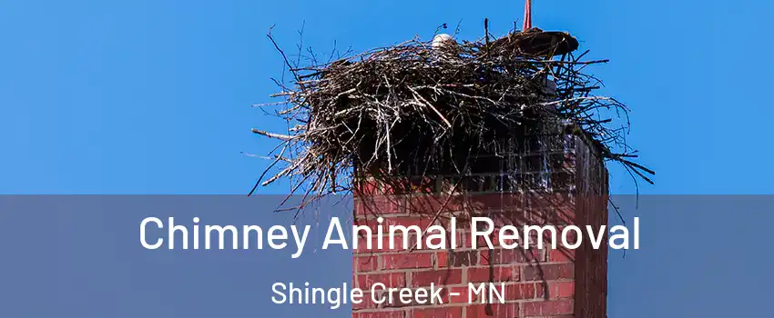 Chimney Animal Removal Shingle Creek - MN