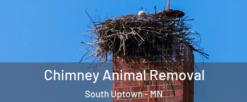Chimney Animal Removal South Uptown - MN