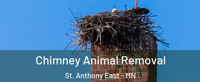 Chimney Animal Removal St. Anthony East - MN