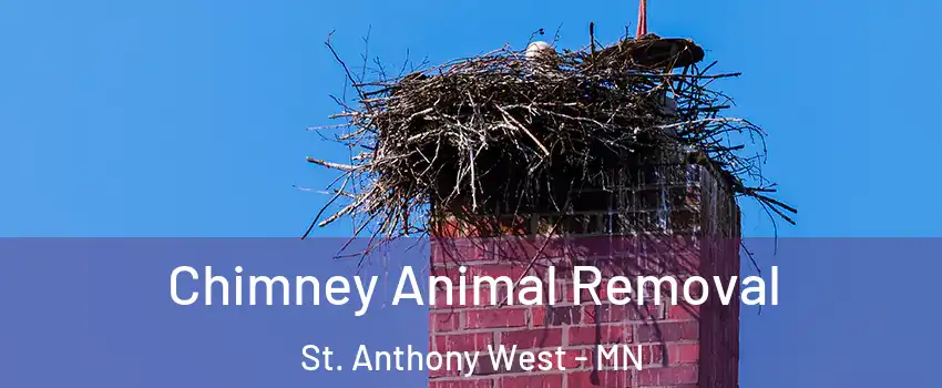 Chimney Animal Removal St. Anthony West - MN