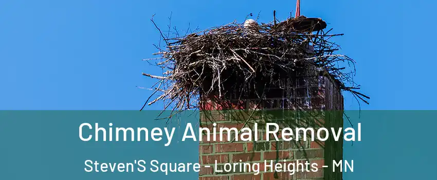 Chimney Animal Removal Steven'S Square - Loring Heights - MN