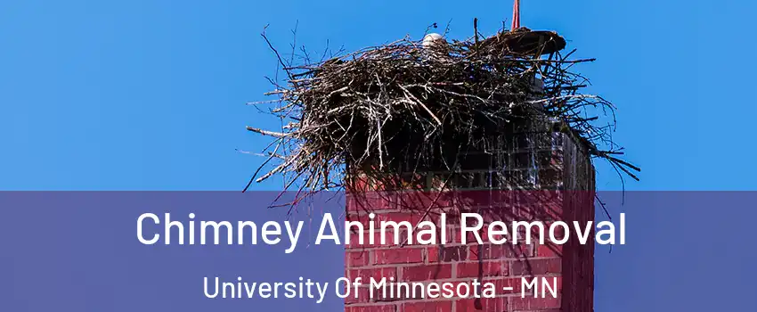 Chimney Animal Removal University Of Minnesota - MN