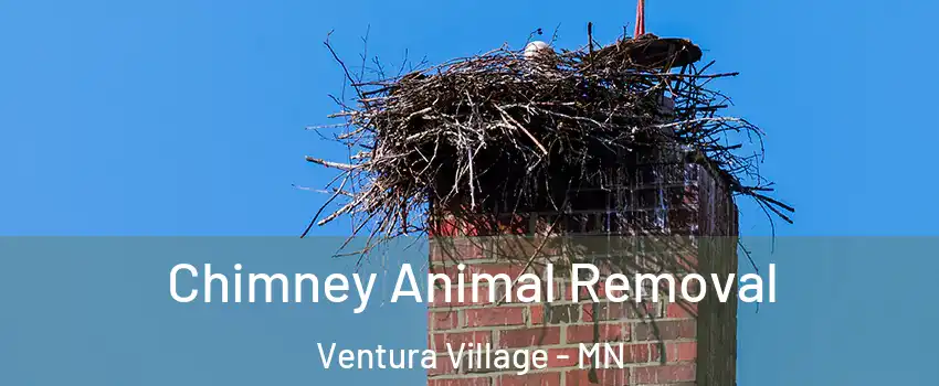Chimney Animal Removal Ventura Village - MN