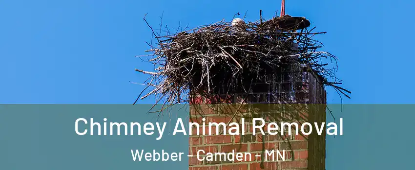 Chimney Animal Removal Webber - Camden - MN