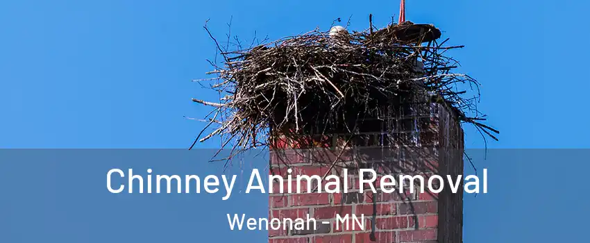 Chimney Animal Removal Wenonah - MN