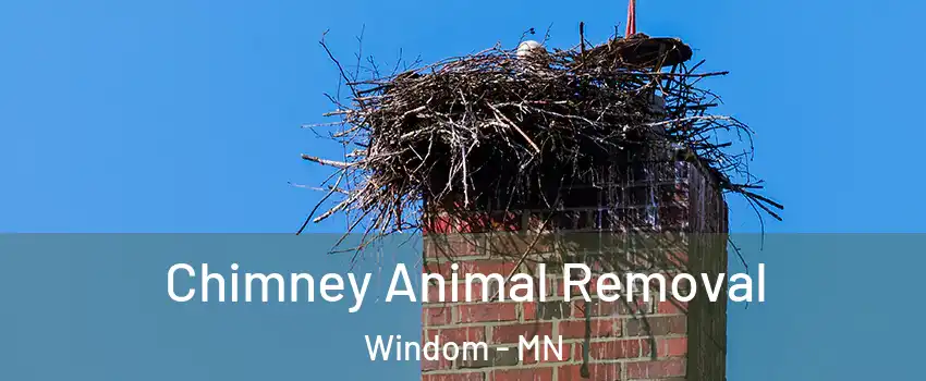 Chimney Animal Removal Windom - MN
