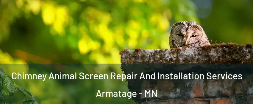 Chimney Animal Screen Repair And Installation Services Armatage - MN