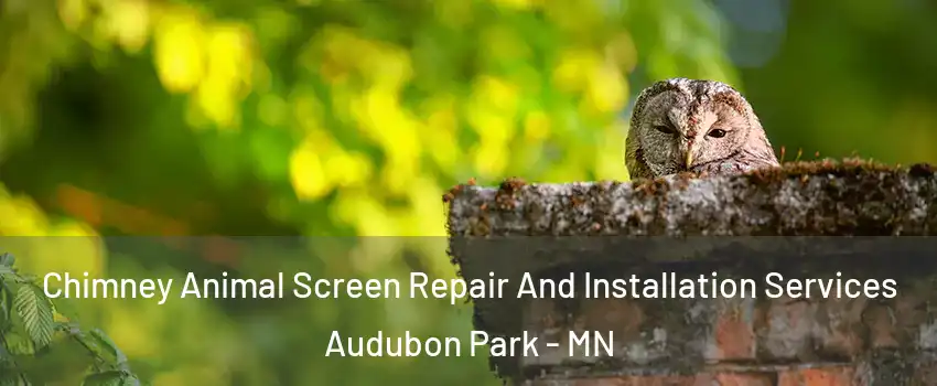 Chimney Animal Screen Repair And Installation Services Audubon Park - MN