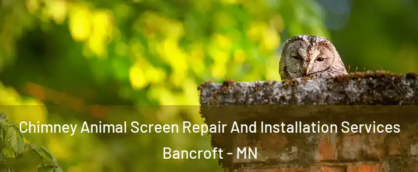 Chimney Animal Screen Repair And Installation Services Bancroft - MN