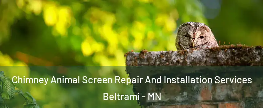Chimney Animal Screen Repair And Installation Services Beltrami - MN