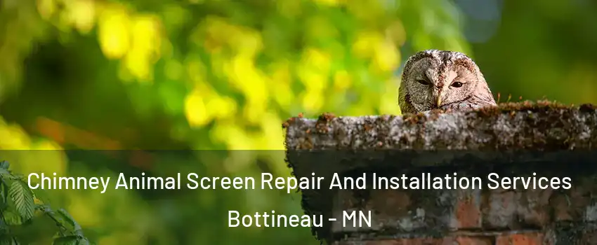 Chimney Animal Screen Repair And Installation Services Bottineau - MN