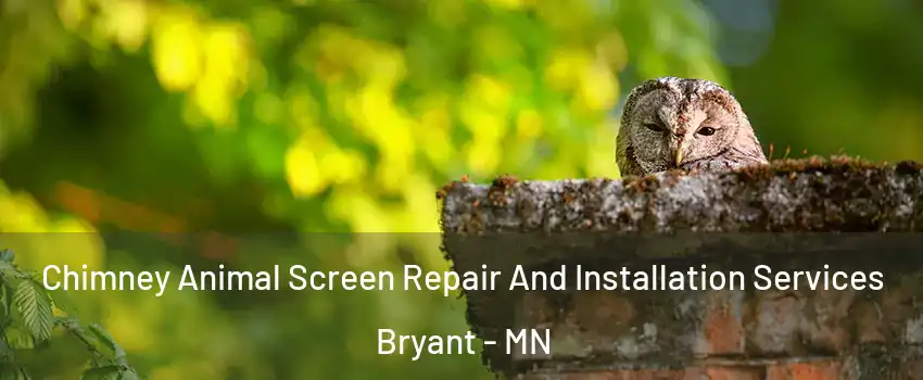 Chimney Animal Screen Repair And Installation Services Bryant - MN