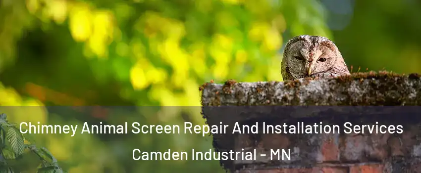 Chimney Animal Screen Repair And Installation Services Camden Industrial - MN