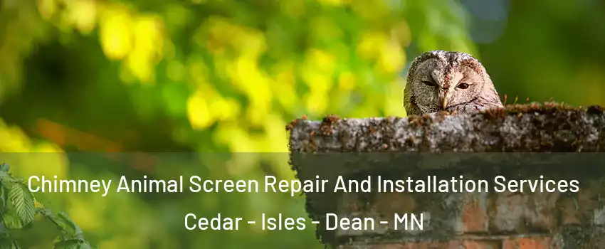 Chimney Animal Screen Repair And Installation Services Cedar - Isles - Dean - MN