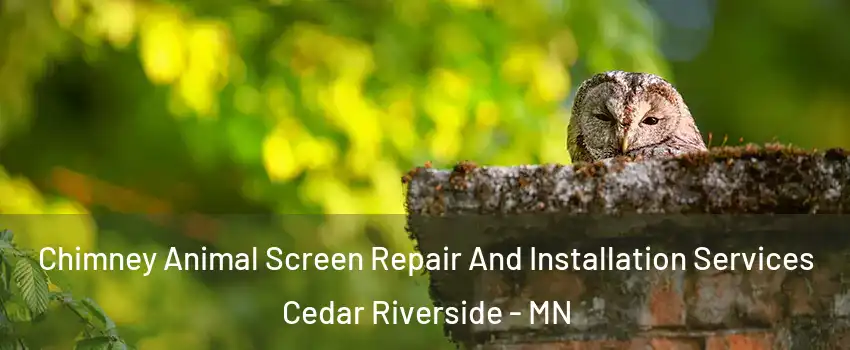 Chimney Animal Screen Repair And Installation Services Cedar Riverside - MN