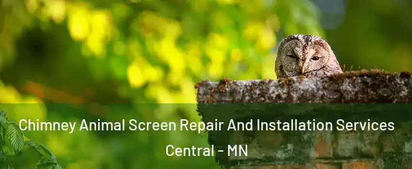 Chimney Animal Screen Repair And Installation Services Central - MN