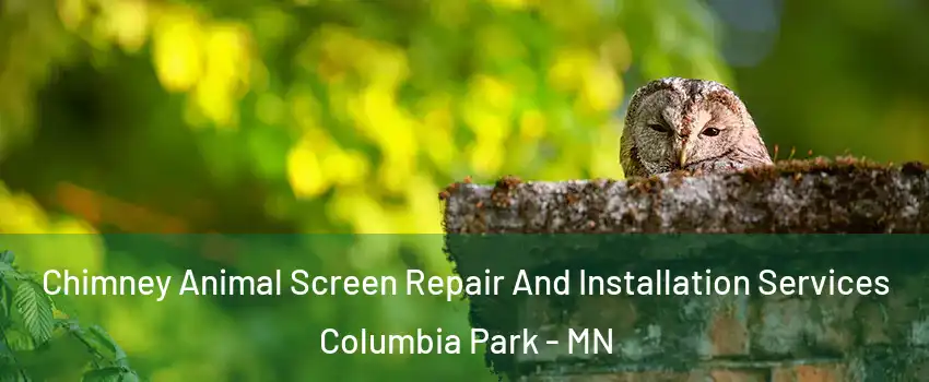 Chimney Animal Screen Repair And Installation Services Columbia Park - MN
