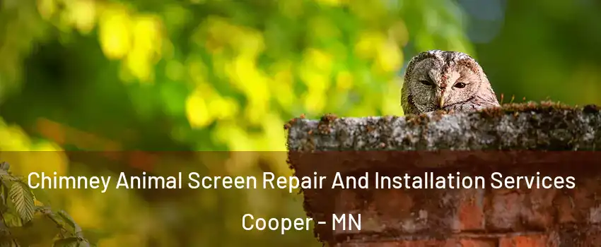 Chimney Animal Screen Repair And Installation Services Cooper - MN