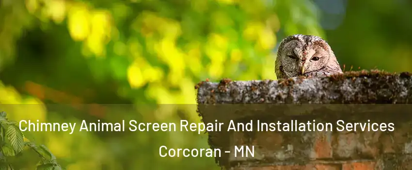 Chimney Animal Screen Repair And Installation Services Corcoran - MN