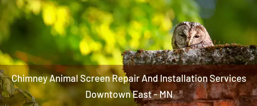 Chimney Animal Screen Repair And Installation Services Downtown East - MN