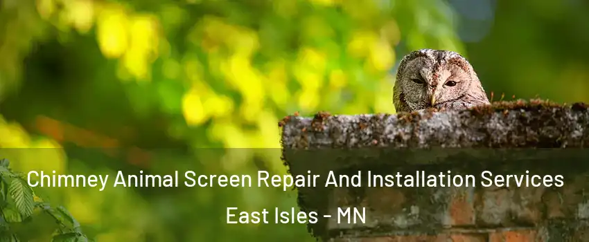 Chimney Animal Screen Repair And Installation Services East Isles - MN