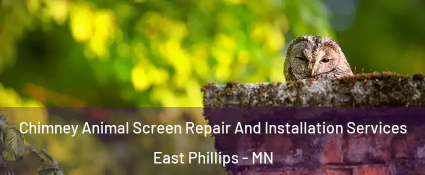 Chimney Animal Screen Repair And Installation Services East Phillips - MN