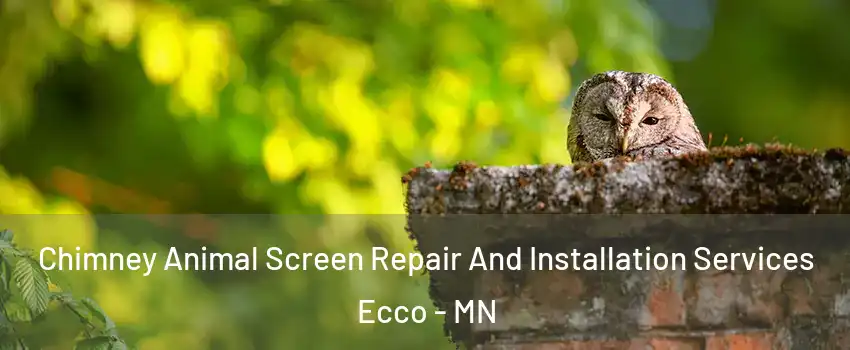 Chimney Animal Screen Repair And Installation Services Ecco - MN