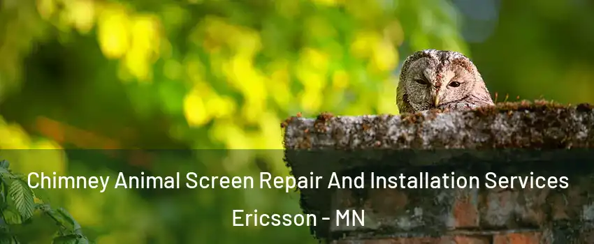 Chimney Animal Screen Repair And Installation Services Ericsson - MN