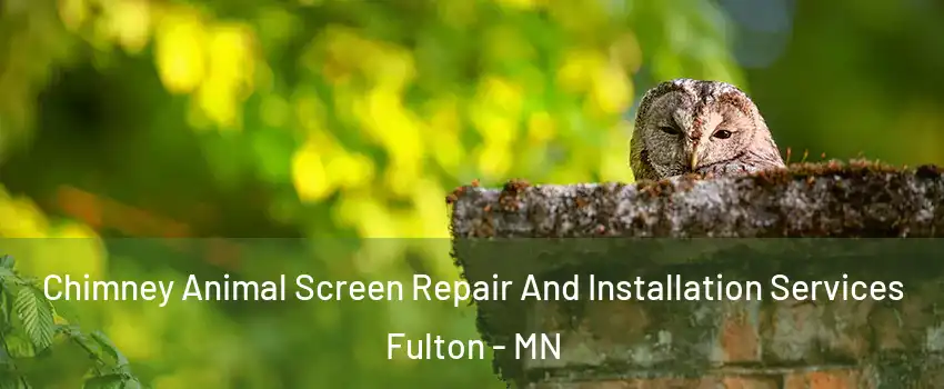 Chimney Animal Screen Repair And Installation Services Fulton - MN