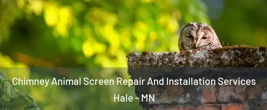 Chimney Animal Screen Repair And Installation Services Hale - MN