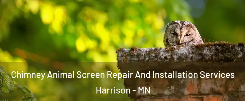 Chimney Animal Screen Repair And Installation Services Harrison - MN
