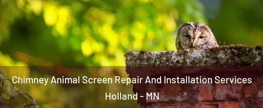 Chimney Animal Screen Repair And Installation Services Holland - MN