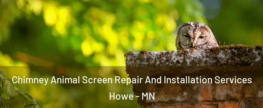 Chimney Animal Screen Repair And Installation Services Howe - MN