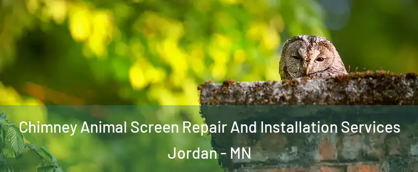 Chimney Animal Screen Repair And Installation Services Jordan - MN
