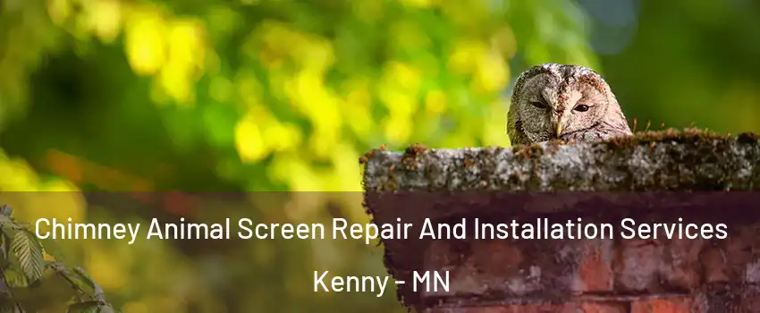 Chimney Animal Screen Repair And Installation Services Kenny - MN