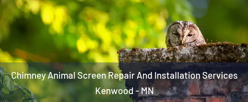 Chimney Animal Screen Repair And Installation Services Kenwood - MN