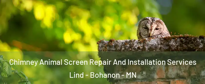 Chimney Animal Screen Repair And Installation Services Lind - Bohanon - MN
