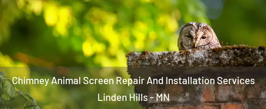 Chimney Animal Screen Repair And Installation Services Linden Hills - MN