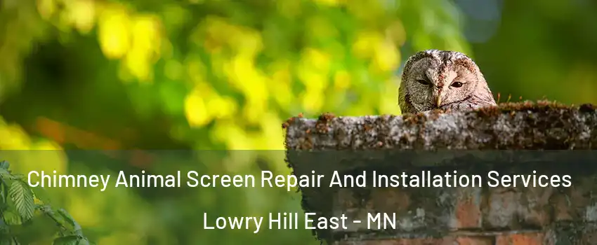 Chimney Animal Screen Repair And Installation Services Lowry Hill East - MN