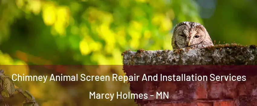 Chimney Animal Screen Repair And Installation Services Marcy Holmes - MN
